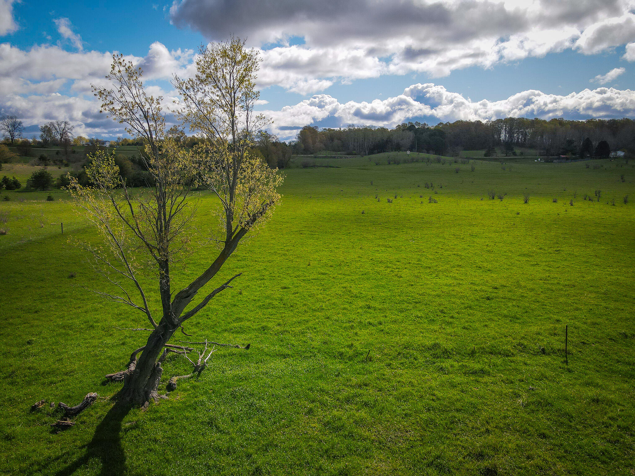 V/l South 230th Avenue Reed City, MI 49677 - Photo 10 of 38 DJI_0017