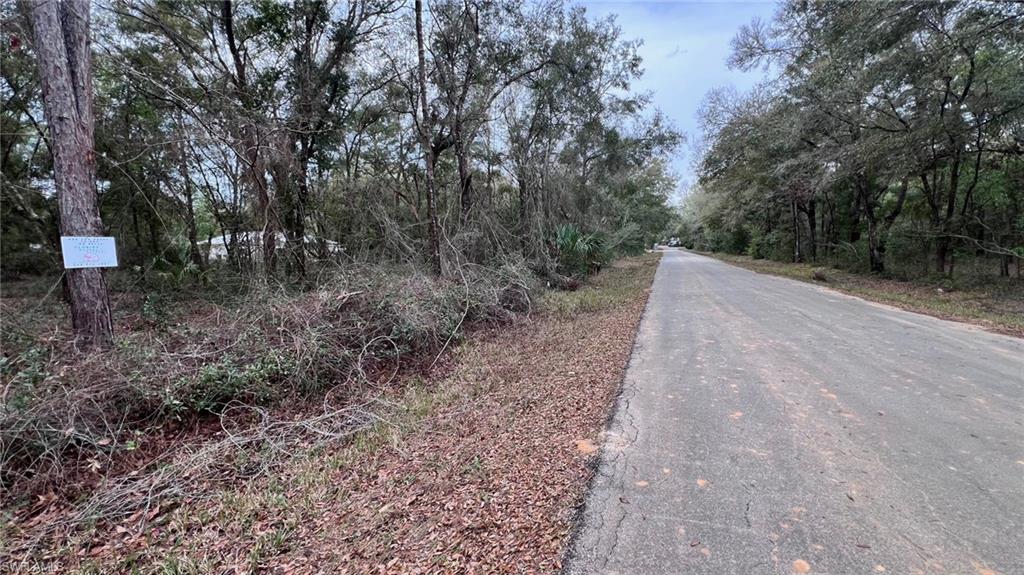 3176 East John Lane Inverness, FL 34453 - Photo 2 of 9 Street view