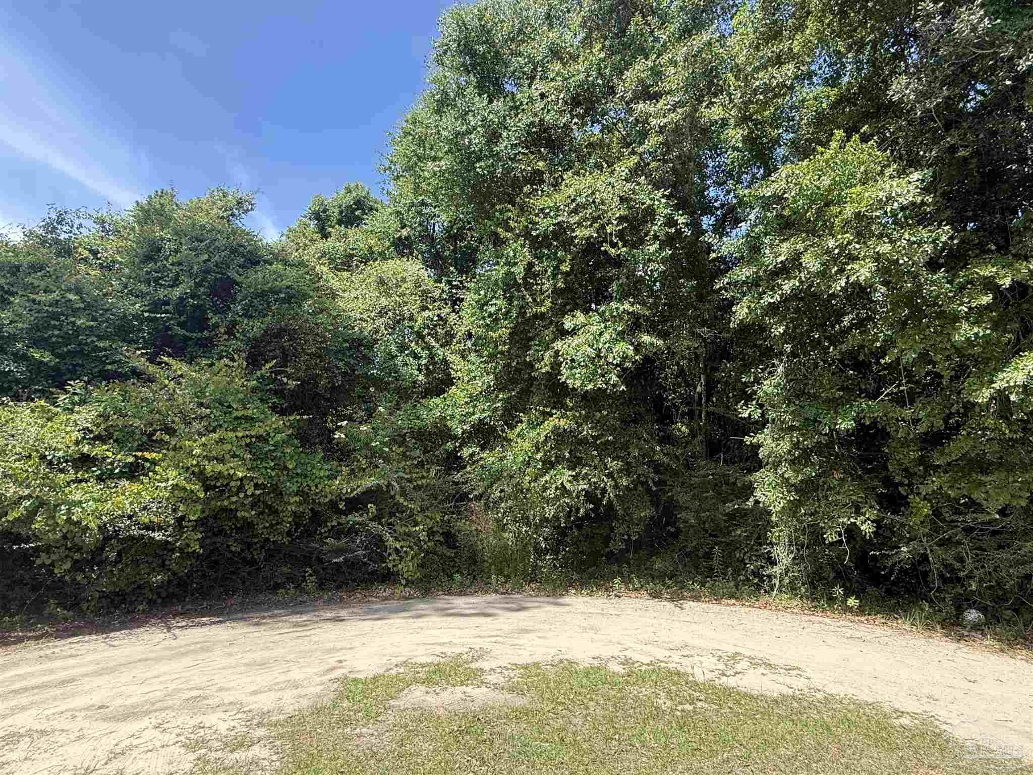 0 Rodella Street Pace, FL 32571 - Photo 10 of 10 a view of a yard