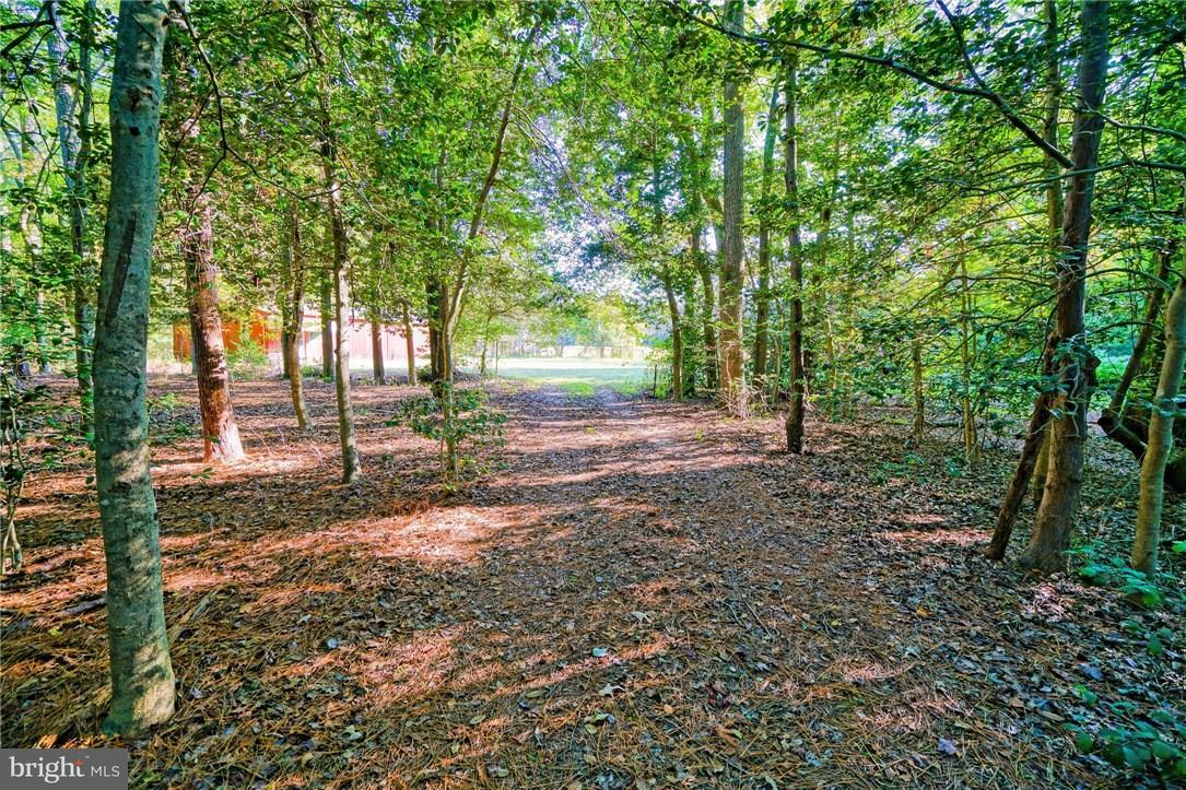14512 Deer Forest Road Bridgeville, DE 19933 - Photo 23 of 26 Gallery Image 23