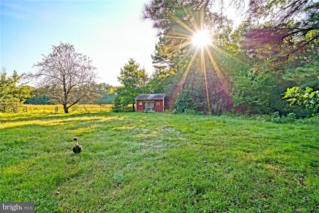 14512 Deer Forest Road Bridgeville, DE 19933 - Photo 24 of 26 Gallery Image 24