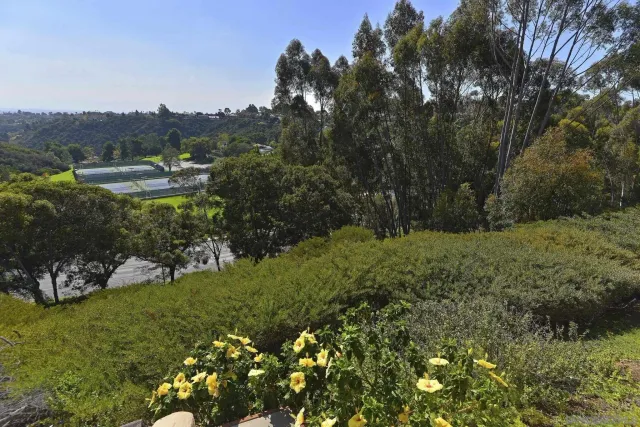 $5,995 | 2585 Caminito Muirfield, La Jolla, CA 92037