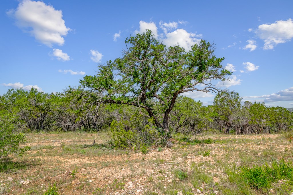 6 Ranch Road 385, Unit 9 London, TX 76854 - Photo 4 of 19