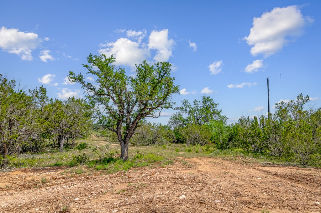 6 Ranch Road 385, Unit 9 London, TX 76854 - Photo 5 of 19