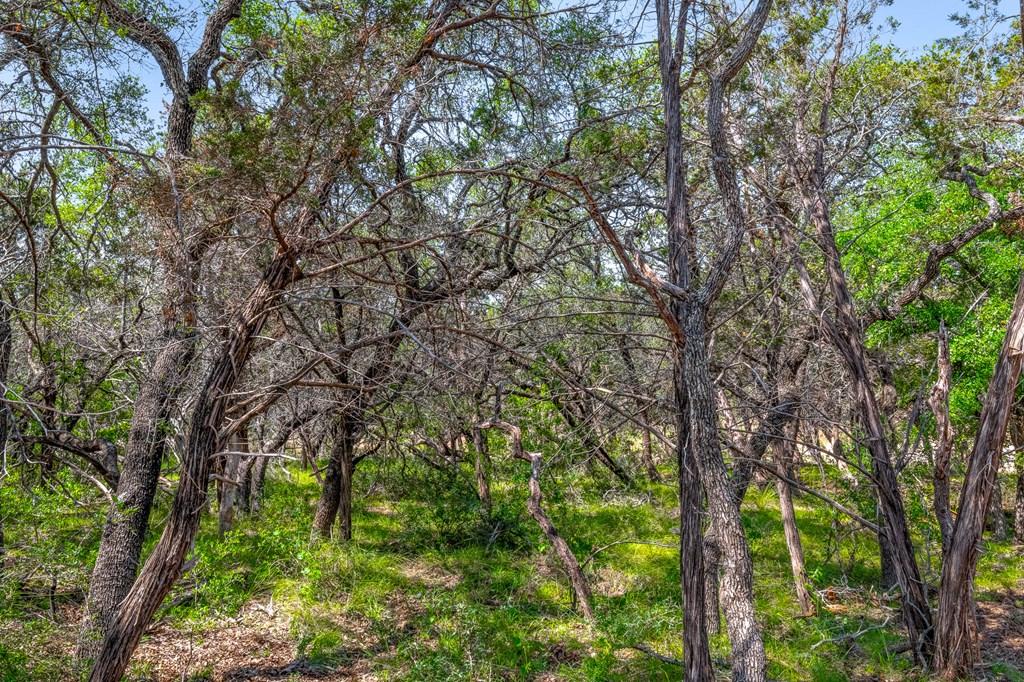 6 Ranch Road 385, Unit 9 London, TX 76854 - Photo 7 of 19