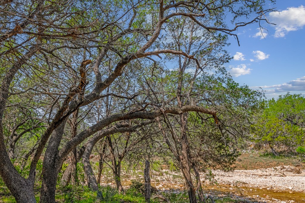 6 Ranch Road 385, Unit 9 London, TX 76854 - Photo 9 of 19