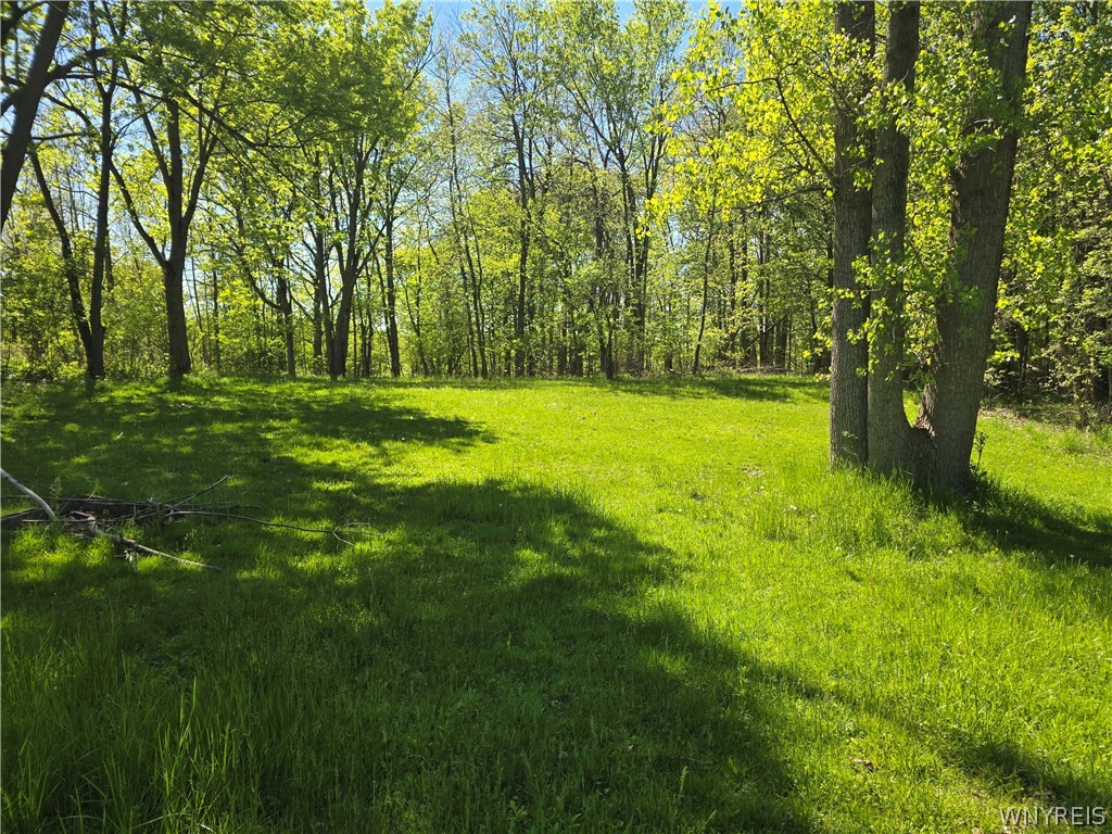 2132 Transit Road West Seneca, NY 14224 - Photo 10 of 27
