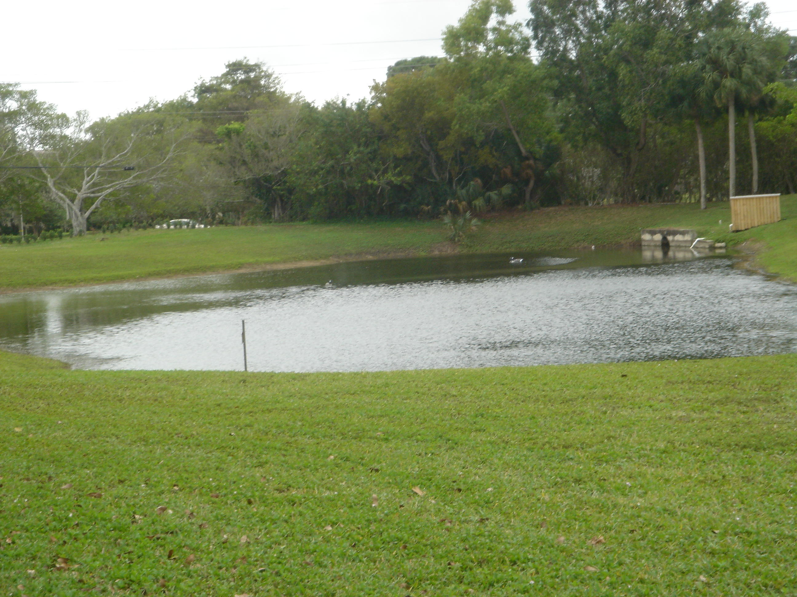 21938 Remsen Terrace, Unit D 201 Boca Raton, FL 33433 - Photo 17 of 17 6660 Somerset Dr # B107 080.JPG