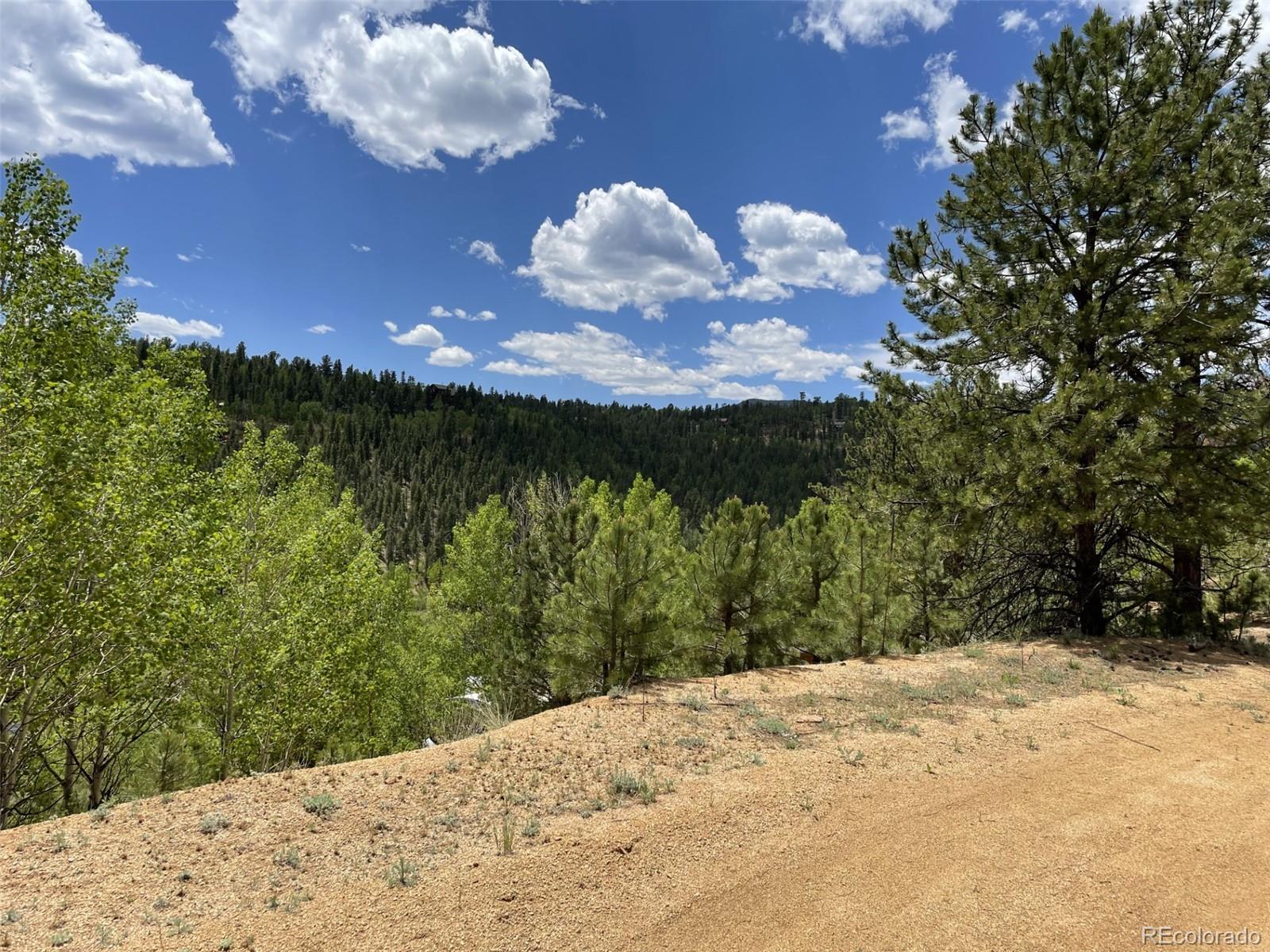 367 Moore Street Bailey, CO 80421 - Photo 26 of 32 a view of a backyard of a house with a lake view