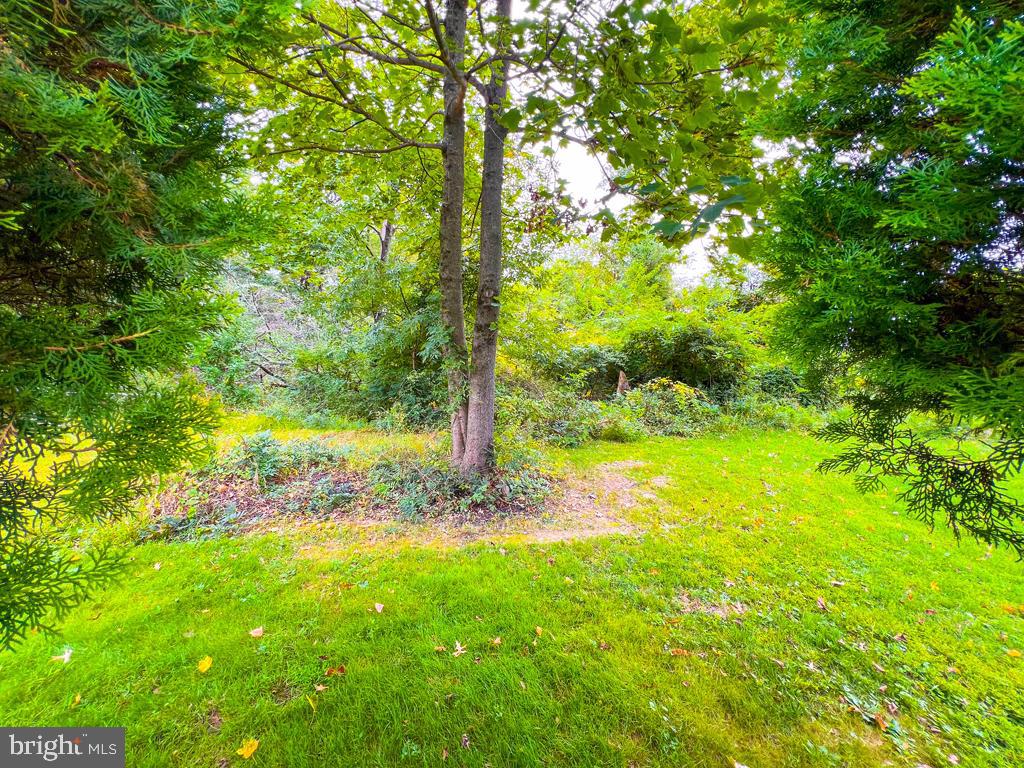 14 Carousel Circle Doylestown, PA 18901 - Photo 33 of 35 a view of an trees with yard