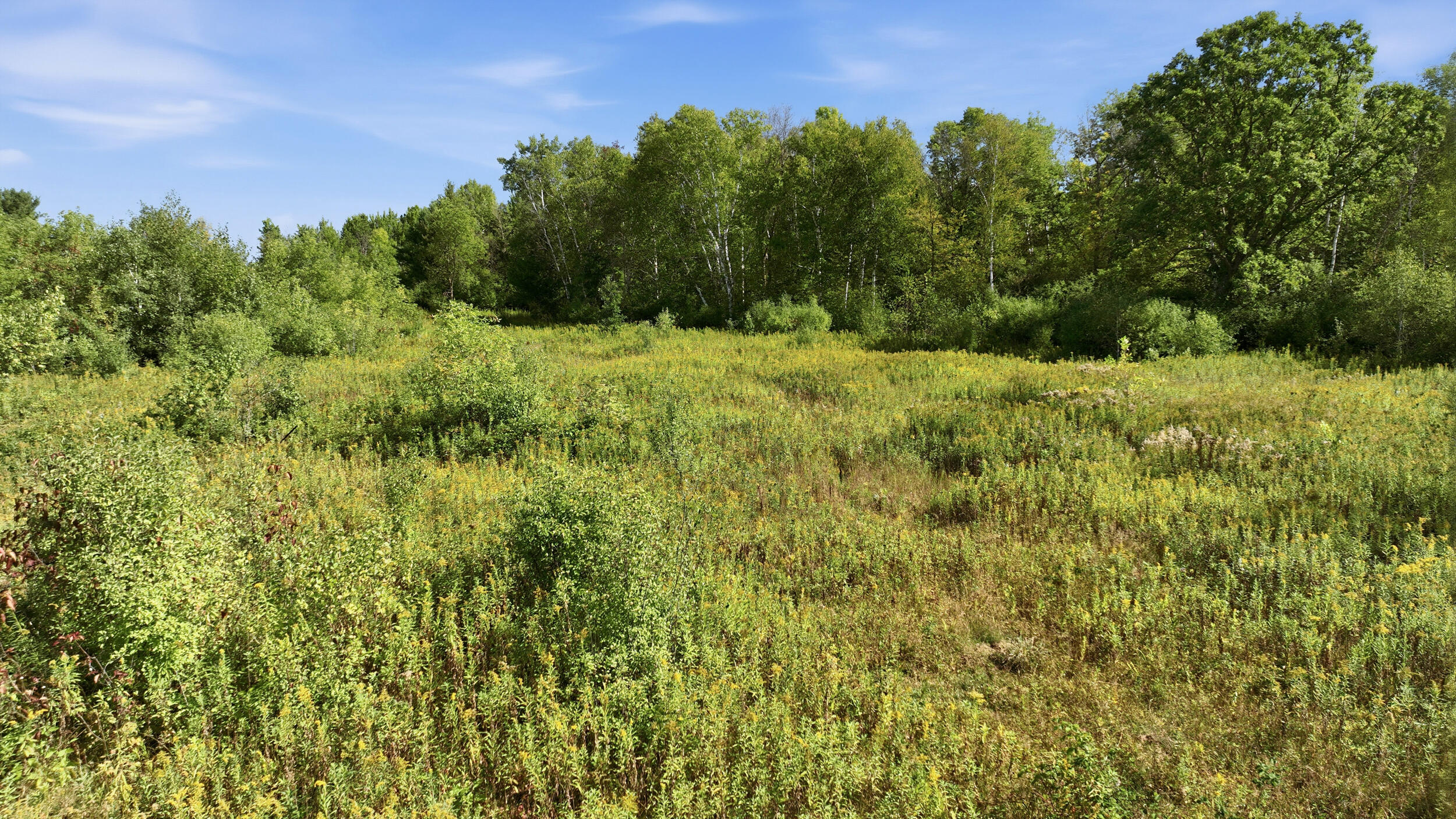0 18th Street Chetek, WI 54728 - Photo 10 of 34 8_18th st-8