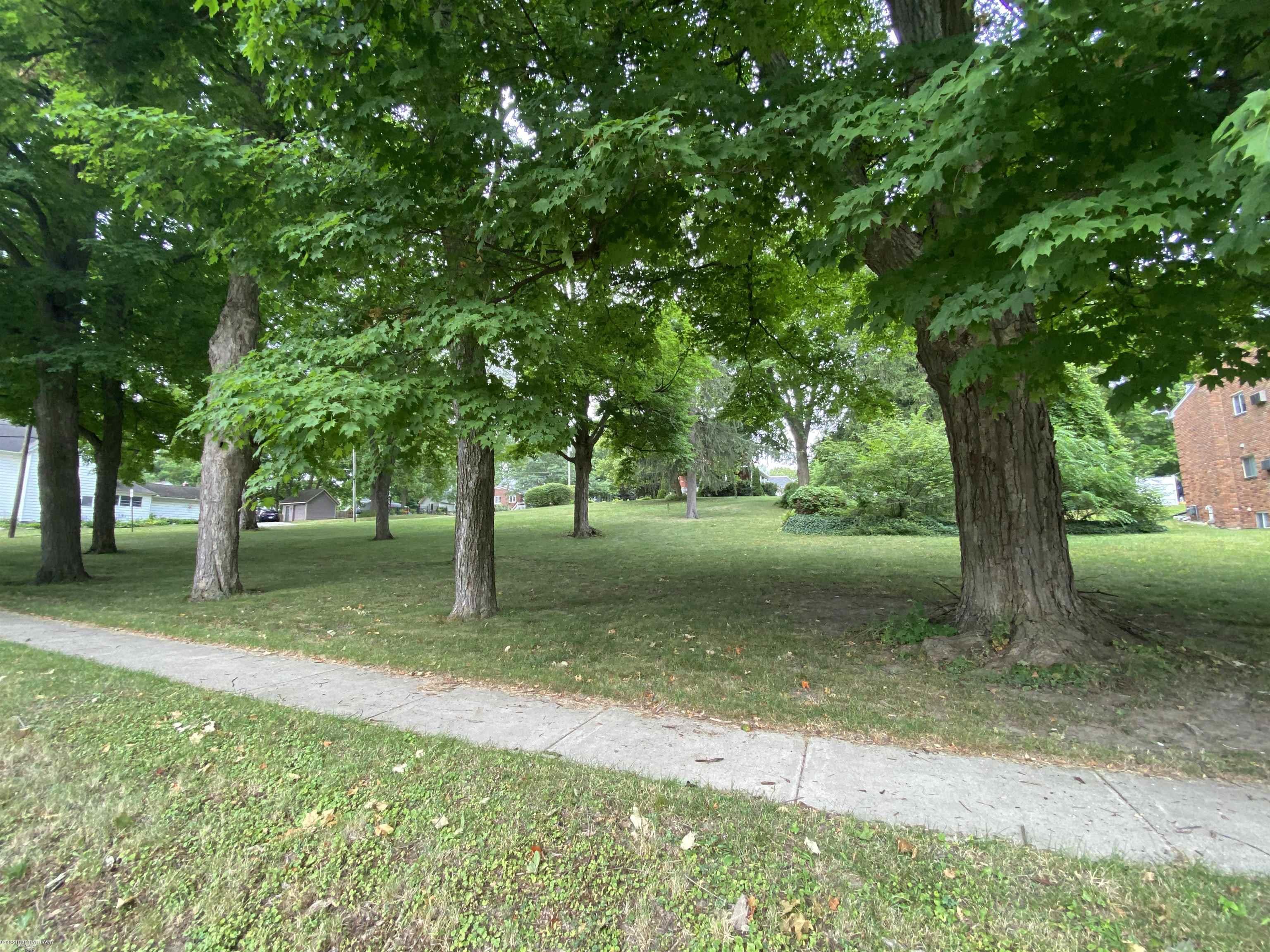 240 Minot Street Romeo, MI 48065 - Photo 48 of 57 50084343-53.JPG
