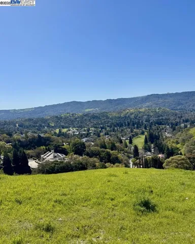 a view of a grassy area with mountains and a houses