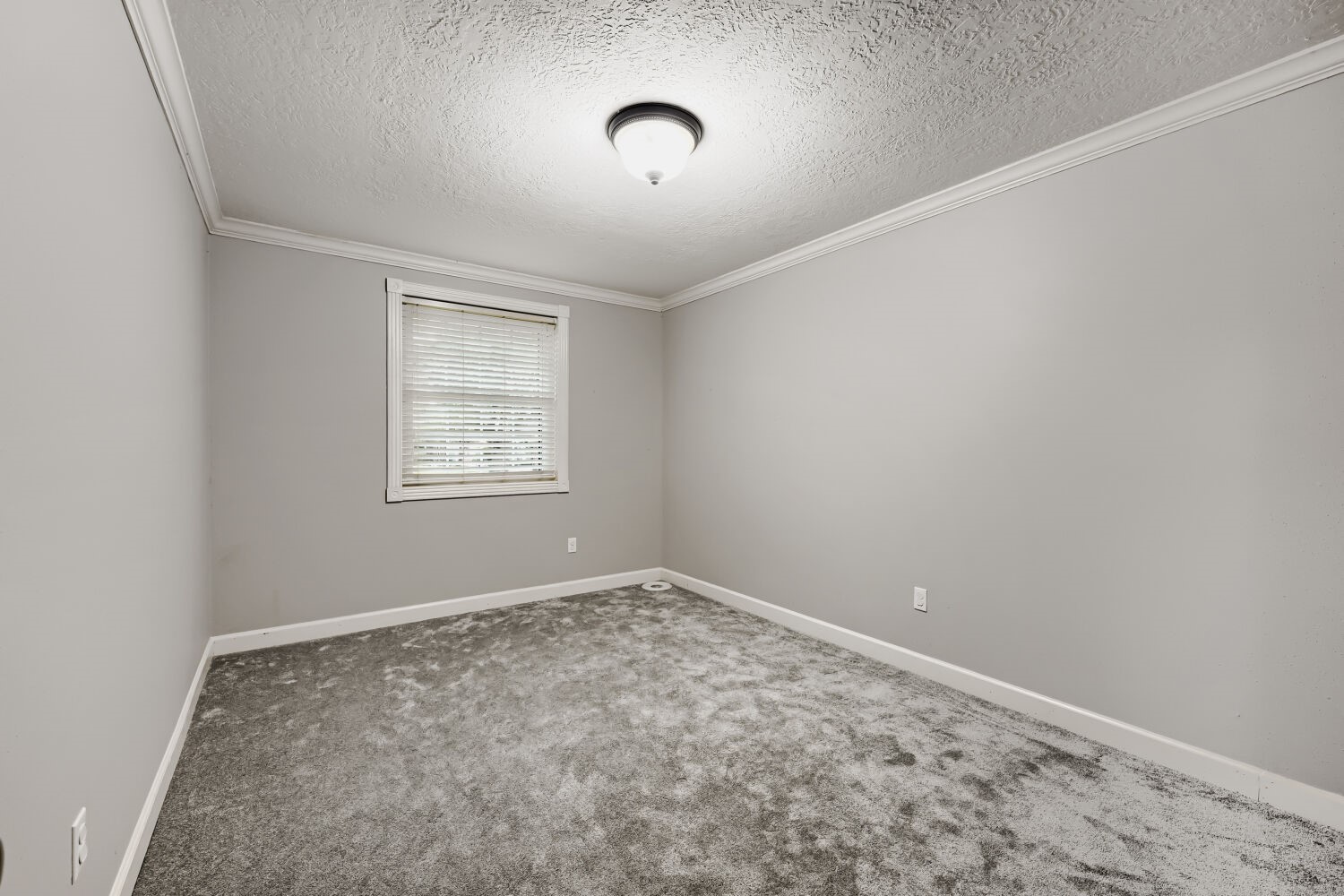 11007 Ensbrook Drive Houston, TX 77099 - Photo 22 of 31