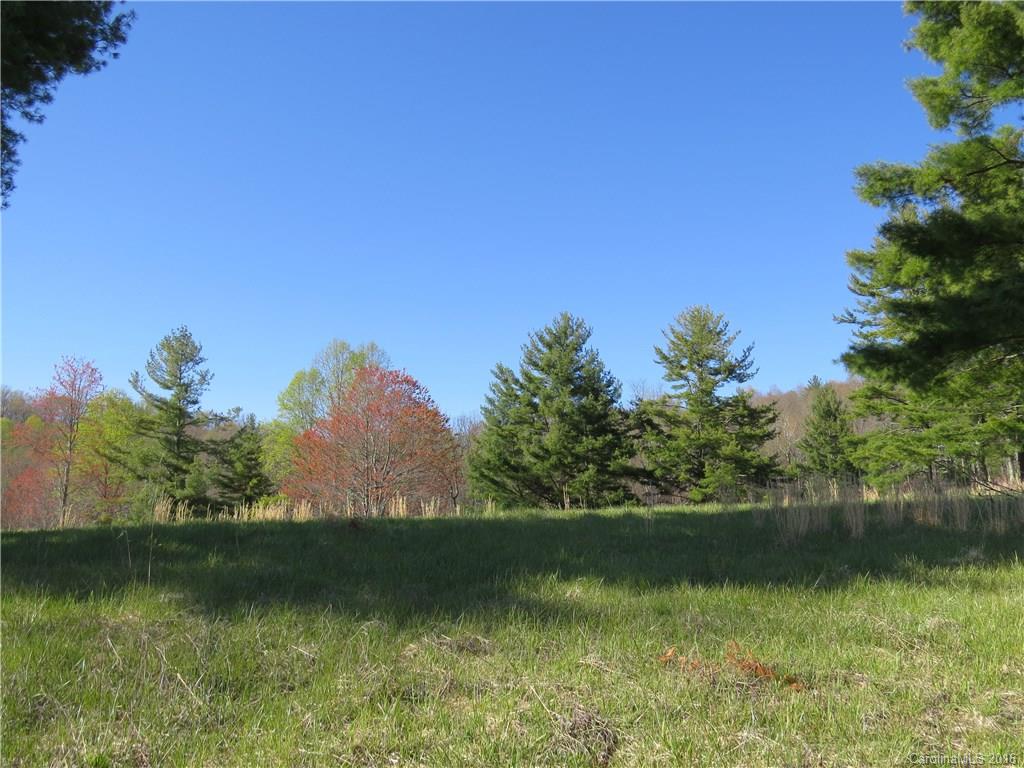 372 Slick Rock Road Brevard, NC 28712 - Photo 11 of 22 Gallery Image 11
