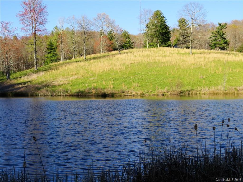 372 Slick Rock Road Brevard, NC 28712 - Photo 13 of 22 Gallery Image 13