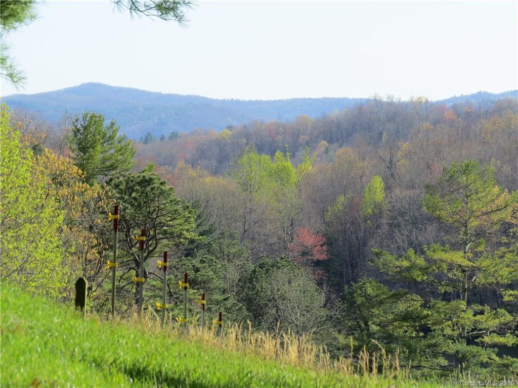 372 Slick Rock Road Brevard, NC 28712 - Photo 14 of 22 Gallery Image 14