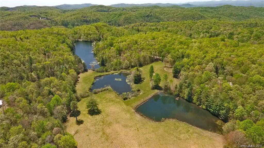 372 Slick Rock Road Brevard, NC 28712 - Photo 6 of 22 Gallery Image 6