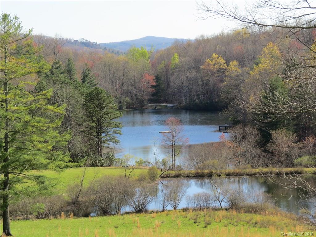 372 Slick Rock Road Brevard, NC 28712 - Photo 10 of 22 Gallery Image 10