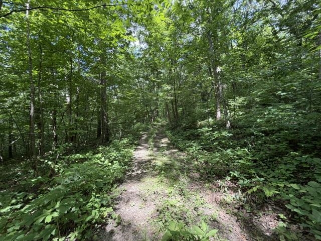 35537 Log House Lane Prairie du Chien, WI 53821 - Photo 36 of 36