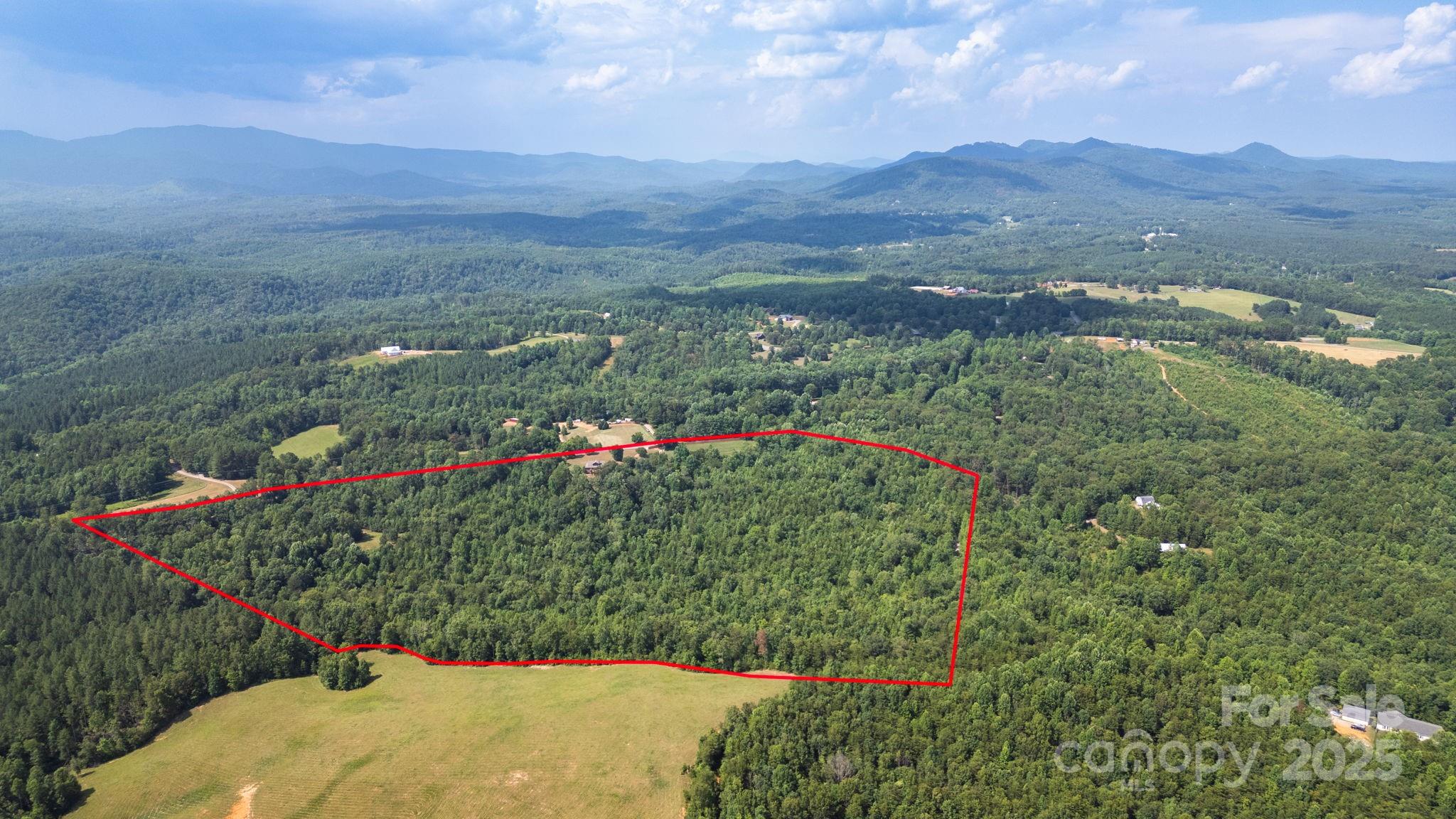 781 Freeman Town Road Rutherfordton, NC 28139 - Photo 40 of 46 Gallery Image 40