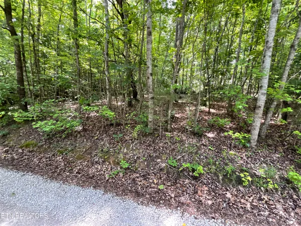 $124,900 | 134 Anna Laura Lane, Rockwood, TN 37854