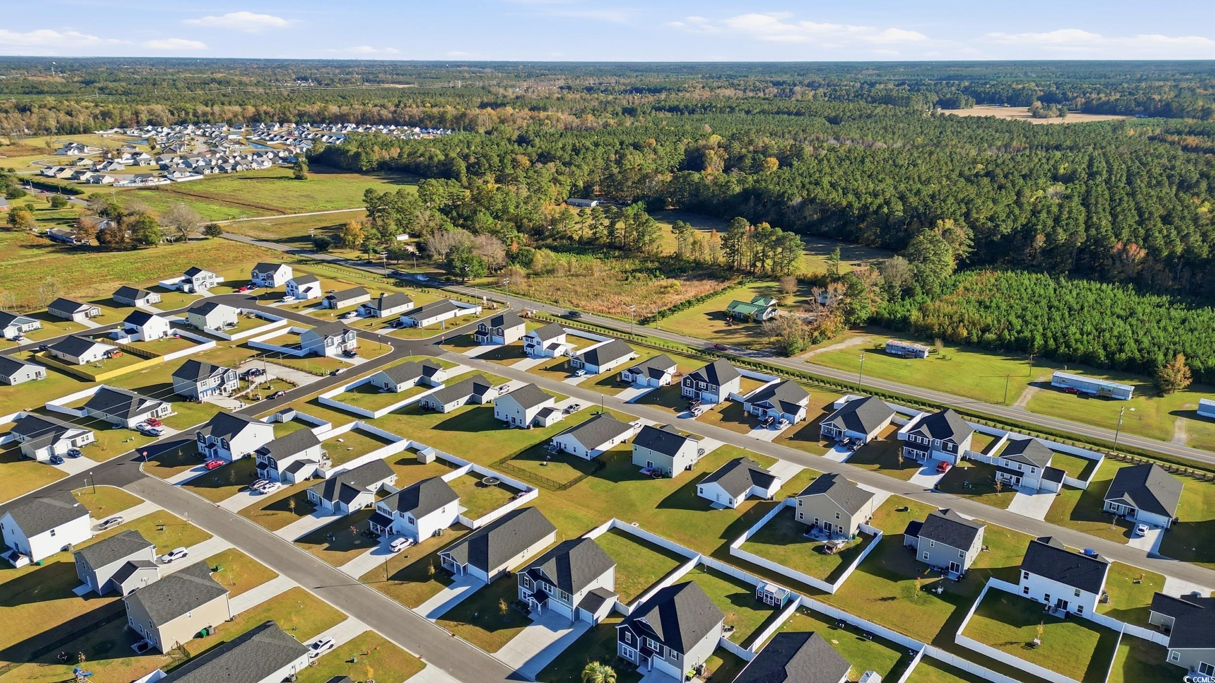 1052 Kinness Drive Conway, SC 29527 - Photo 36 of 38 View of property location featuring nearby suburban area and a forest