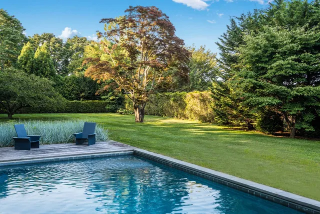 a view of a park with large trees