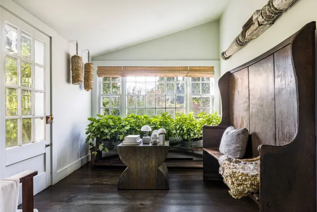 a room with furniture and a potted plant