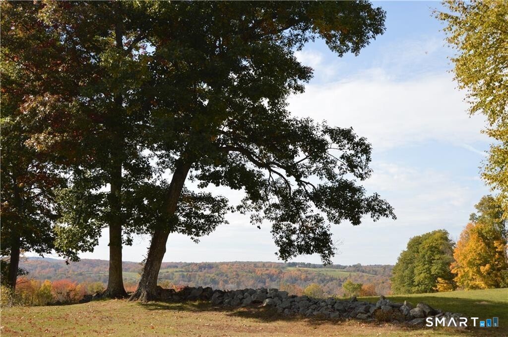 92 Quail Run Road Woodbury, CT 06798 - Photo 4 of 40 Endless views right from your backyard