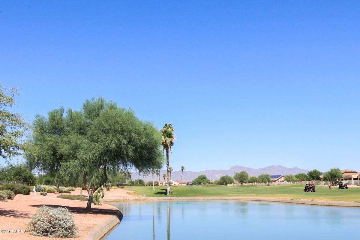 16476 West Berkeley Road Goodyear, AZ 85395 - Photo 24 of 51 Backyard Mountain View