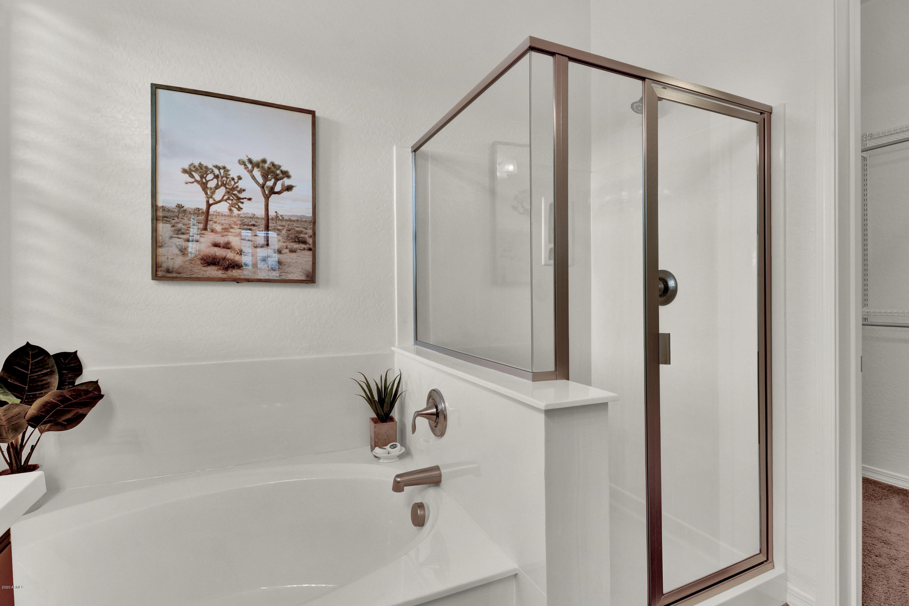 20465 West Ridge Road Buckeye, AZ 85396 - Photo 18 of 59 Master Bath