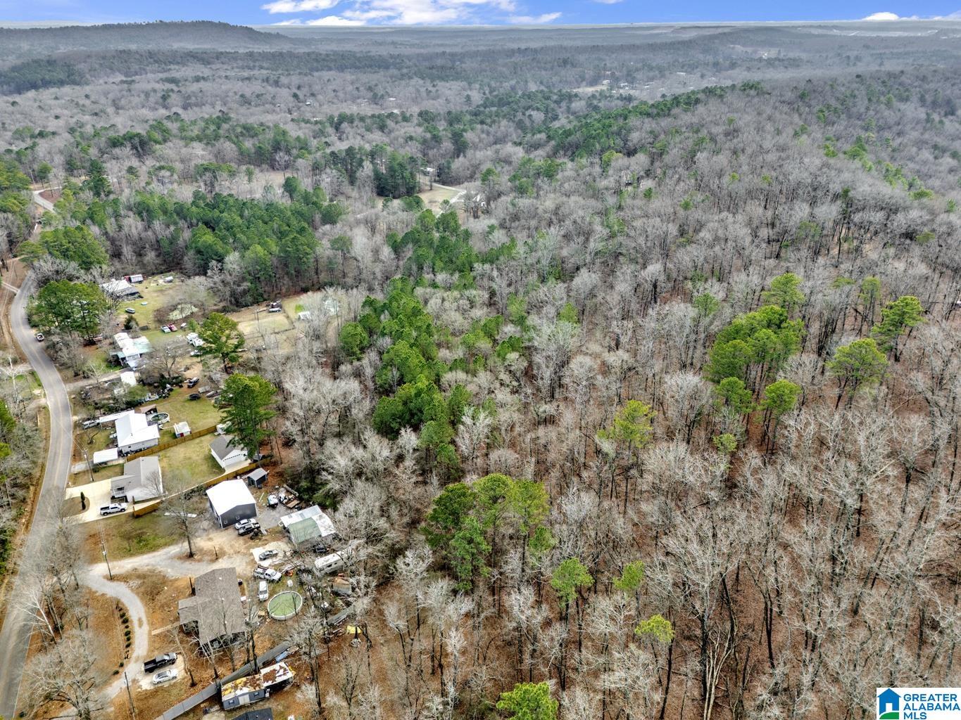 1383 Camp Branch Road, Unit 1 Alabaster, AL 35007 - Photo 16 of 20