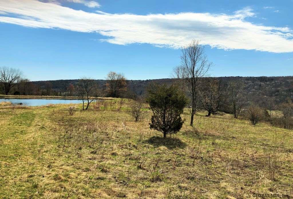 142 Whitetail Mountain Road Summit, NY 12175 - Photo 3 of 25 Photo 3