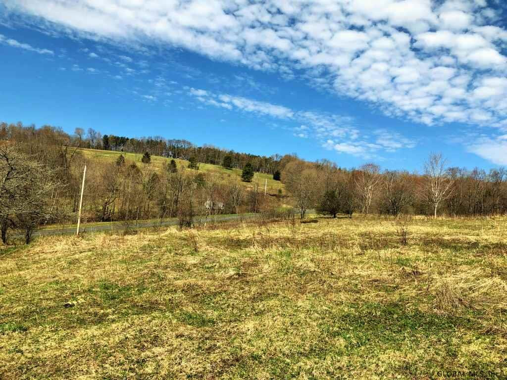 142 Whitetail Mountain Road Summit, NY 12175 - Photo 4 of 25 Photo 4
