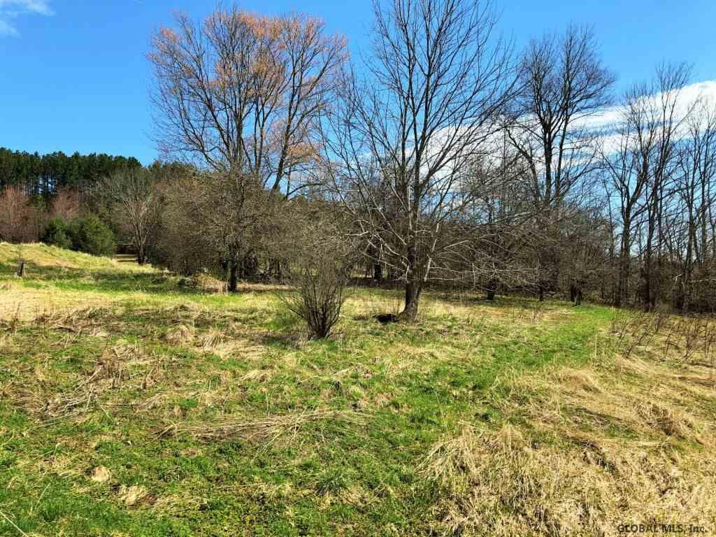 142 Whitetail Mountain Road Summit, NY 12175 - Photo 5 of 25 Photo 5