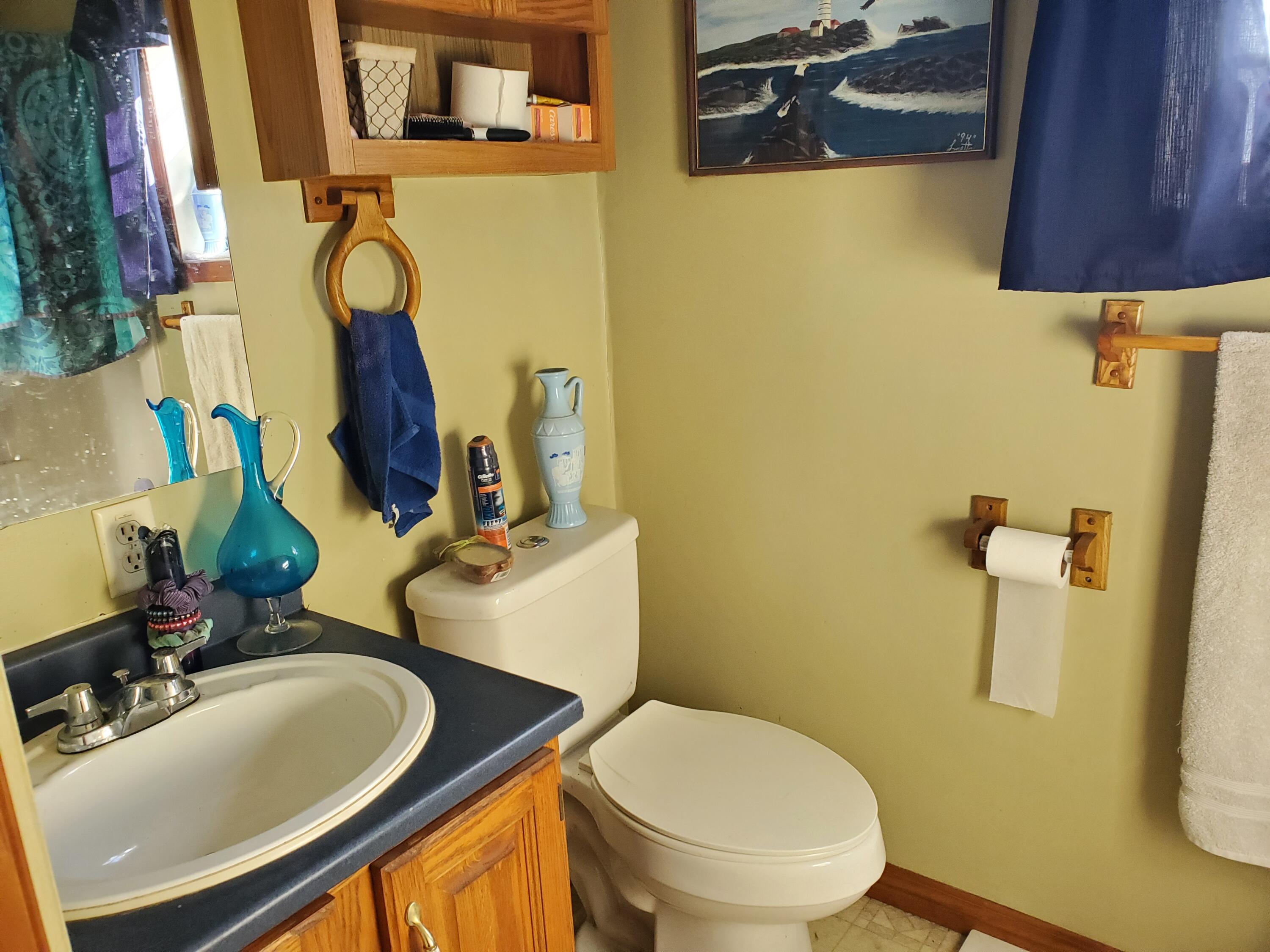 593 Wolfboro Road Stetson, ME 04488 - Photo 13 of 34 20220329_152433 - Copy