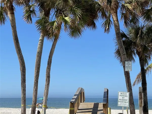 a view of a palm trees