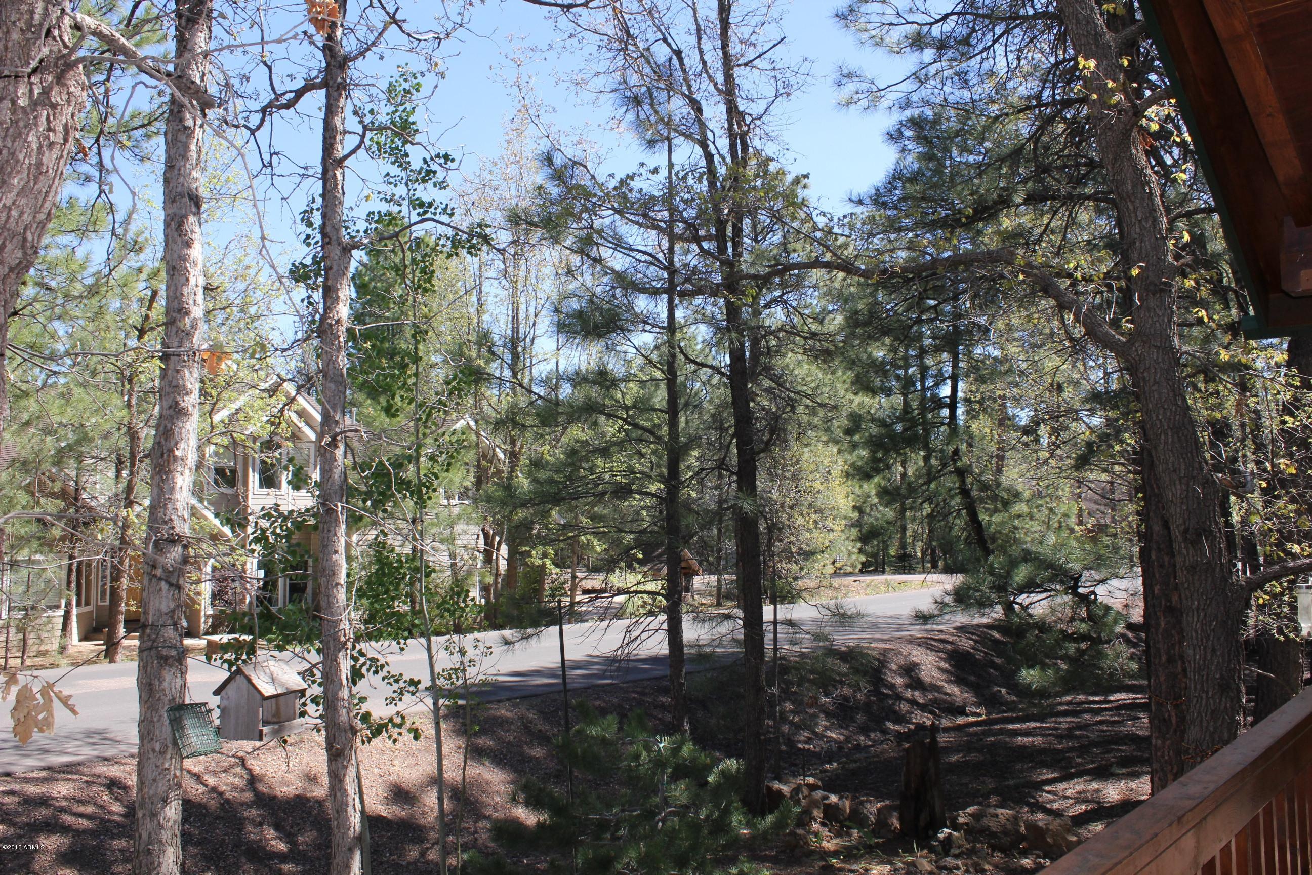 3843 Turkey Track Road Pinetop, AZ 85935 - Photo 8 of 9 IMG_2627