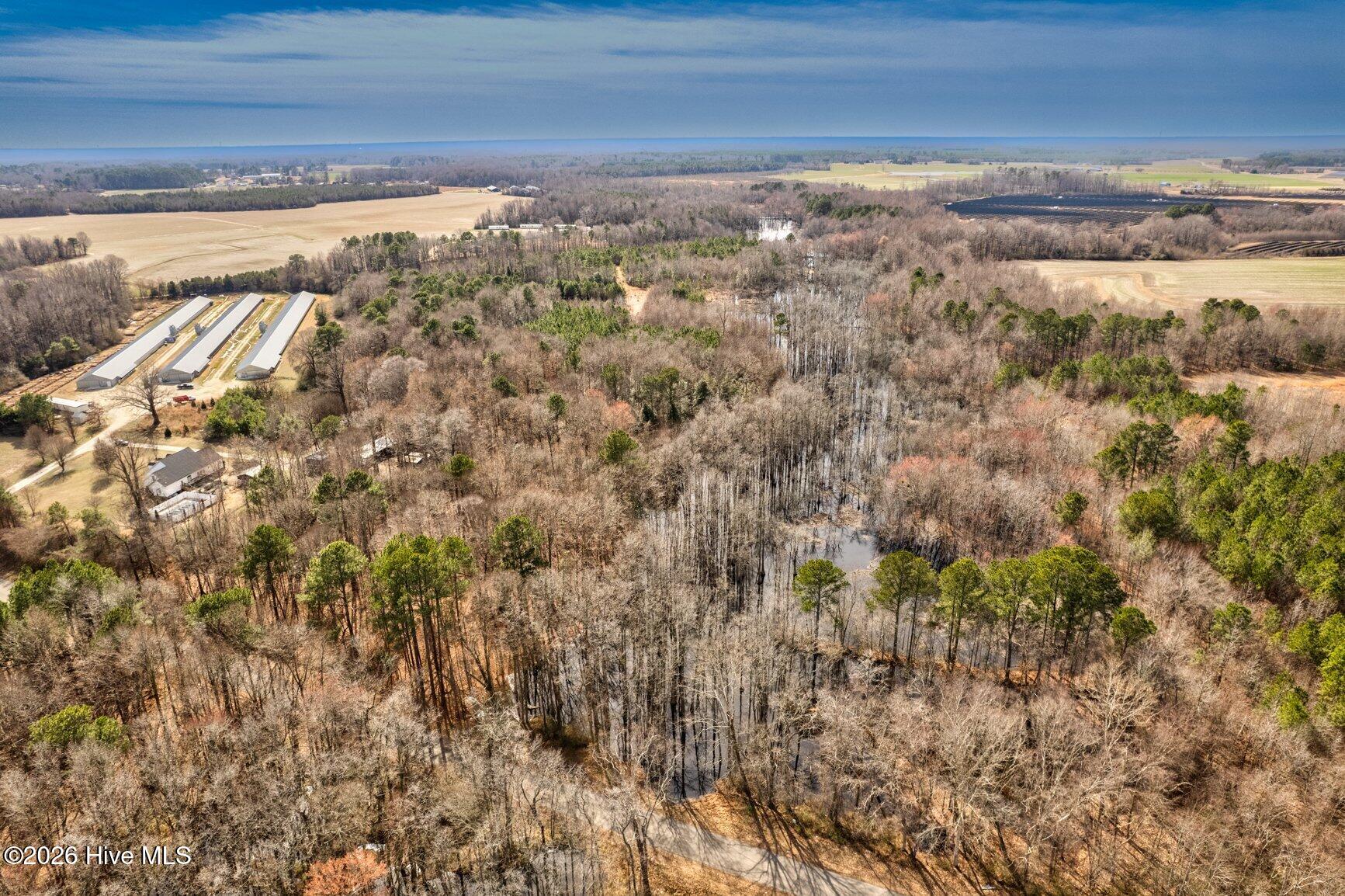 0 Ethridge Road Whitakers, NC 27891 - Photo 1 of 7 Gallery Image 1