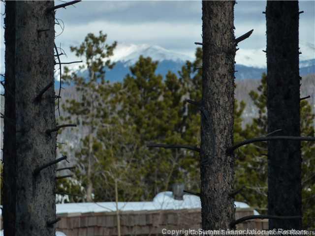 373 Timbertrail Road Breckenridge, CO 80424 - Photo 2 of 24 a view of a yard