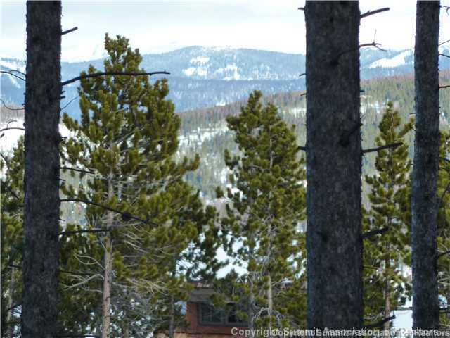 373 Timbertrail Road Breckenridge, CO 80424 - Photo 3 of 24 a view of a garden