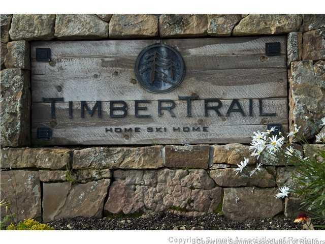 373 Timbertrail Road Breckenridge, CO 80424 - Photo 23 of 24 a closeup of a sink