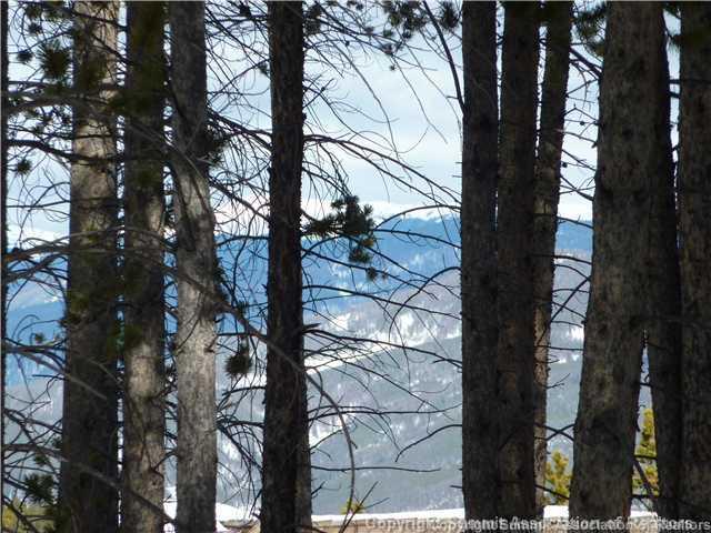 373 Timbertrail Road Breckenridge, CO 80424 - Photo 6 of 24