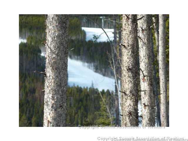 373 Timbertrail Road Breckenridge, CO 80424 - Photo 7 of 24