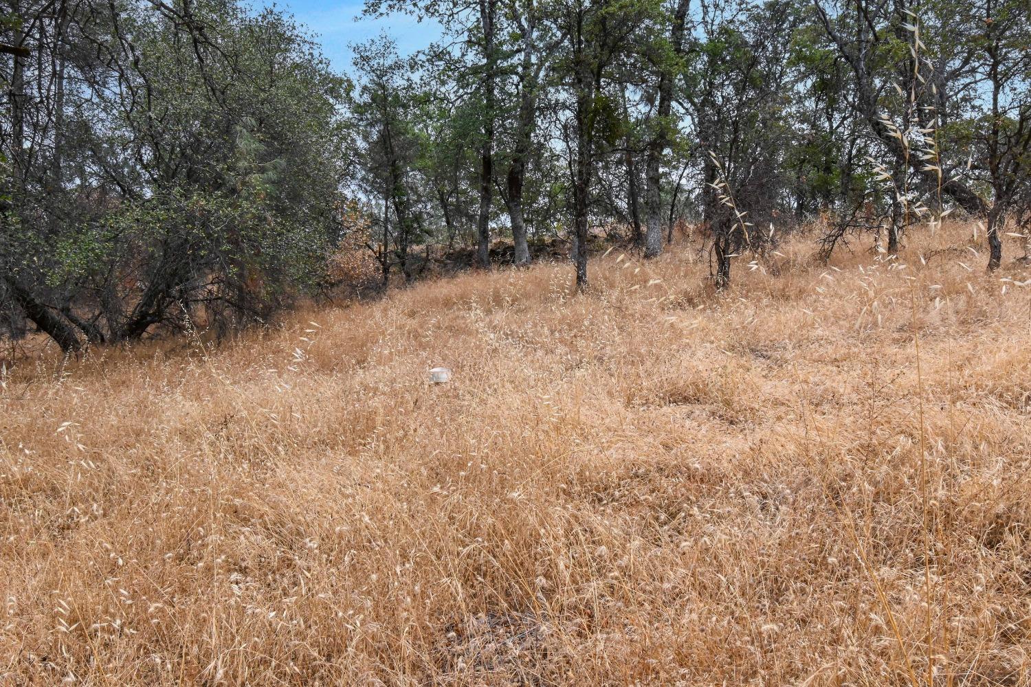 13627 Jessica Way Browns Valley, CA 95918 - Photo 11 of 27