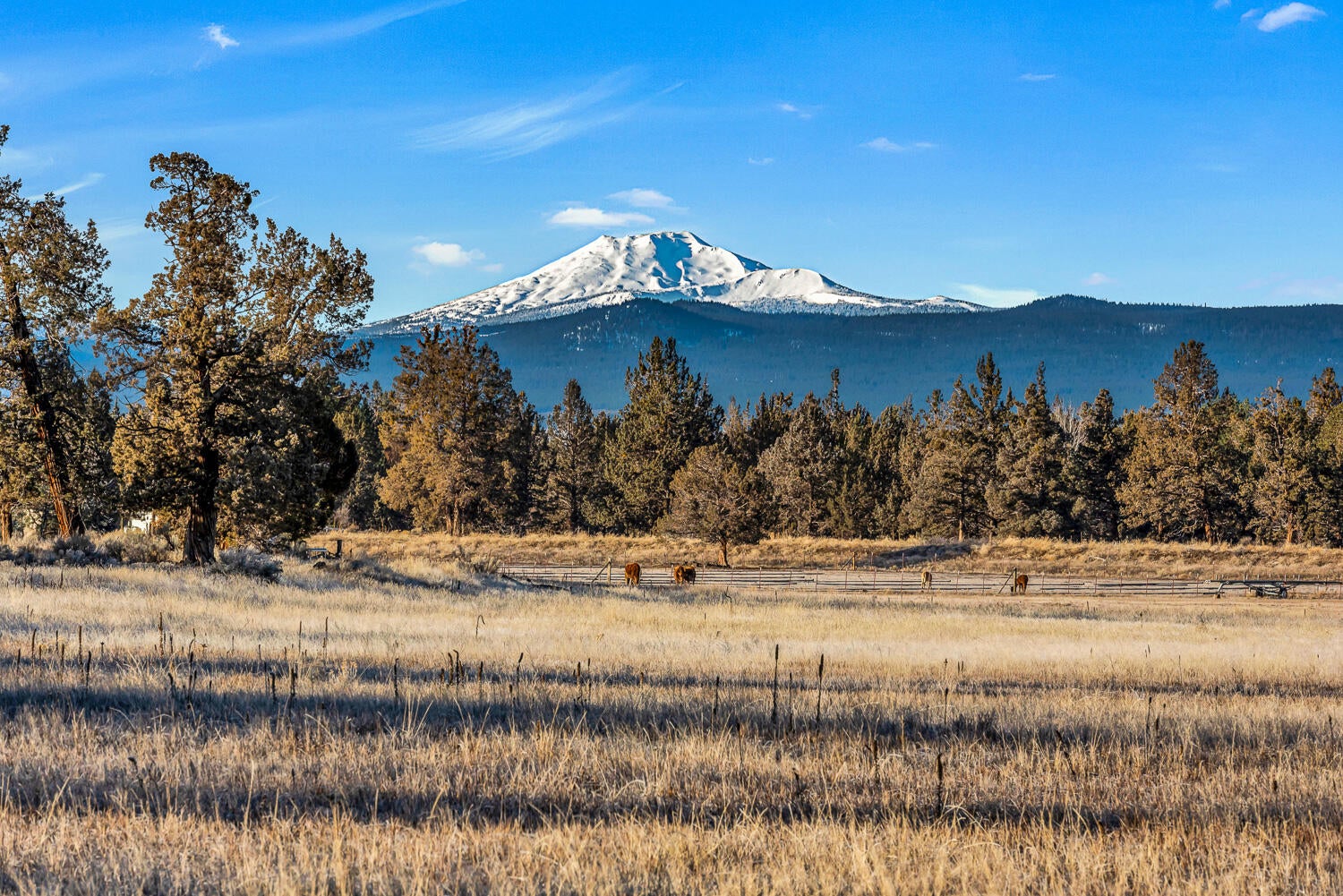 64790 Hunnell Road Bend, OR 97703 - Photo 24 of 50 Mountain View