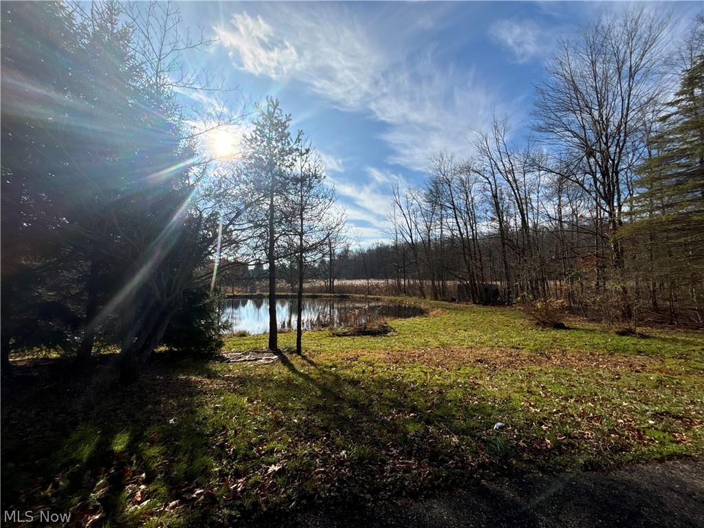 10775 Bell Road Newbury, OH 44065 - Photo 11 of 16