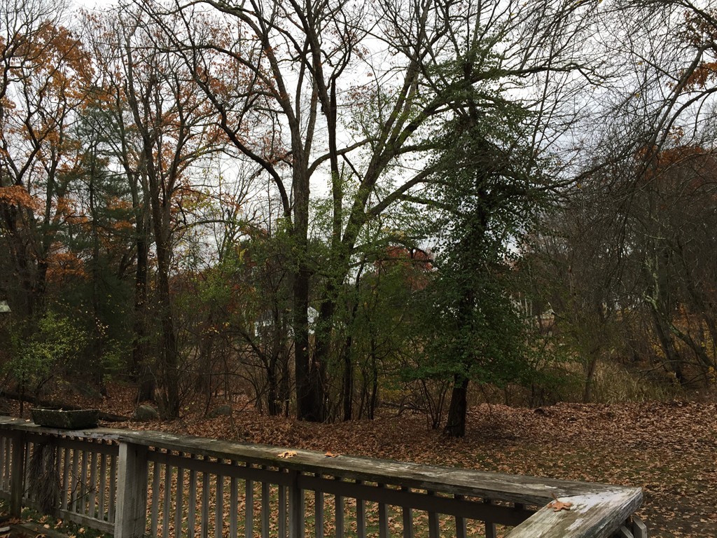 48 Ledgewood Road Weston, MA 02493 - Photo 8 of 9