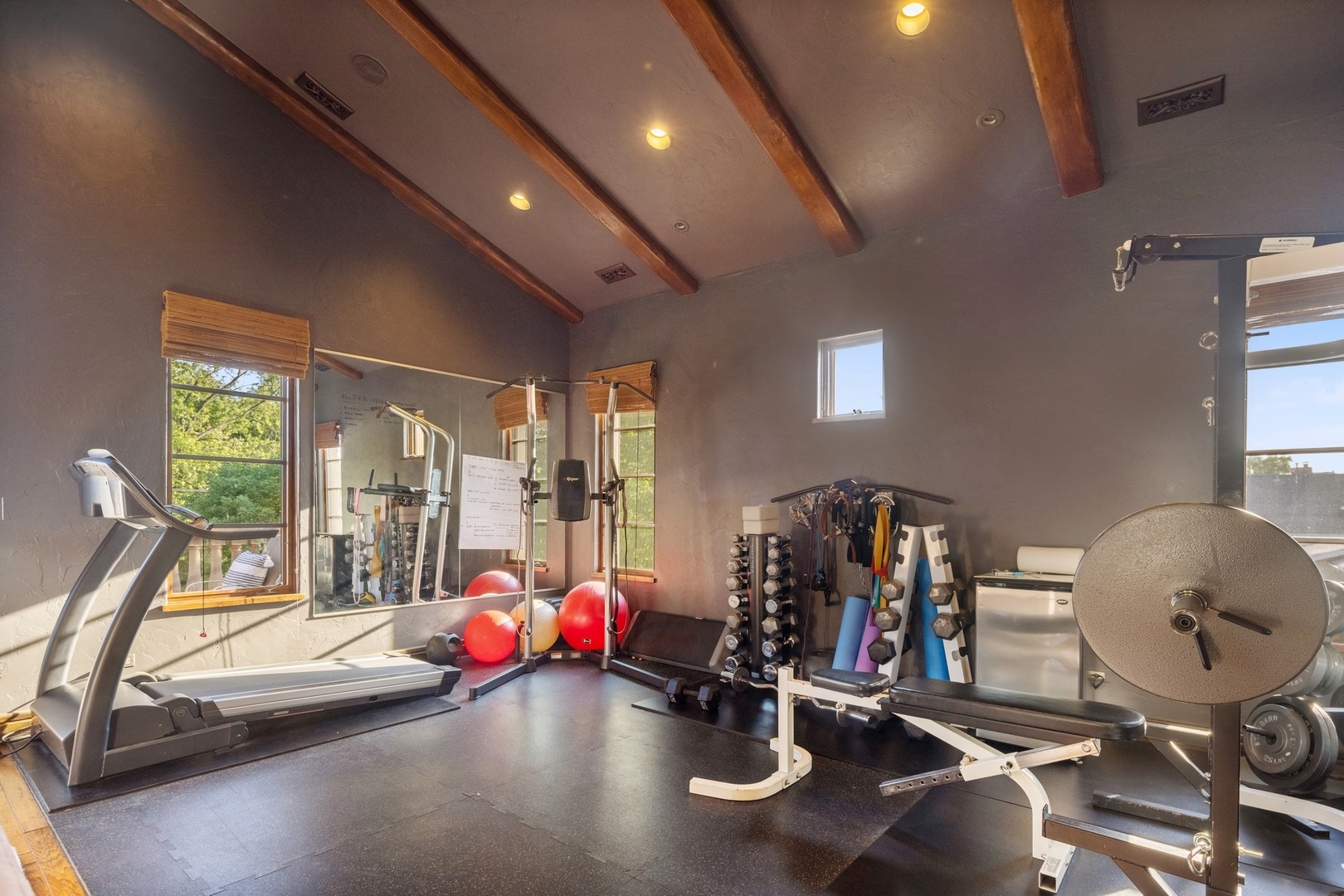 240 Spring Avenue Naperville, IL 60540 - Photo 34 of 43 a view of a room with gym equipment